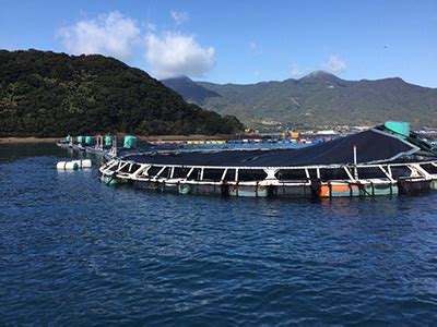 養魚世界|国内外の水産養殖の現状と展望 